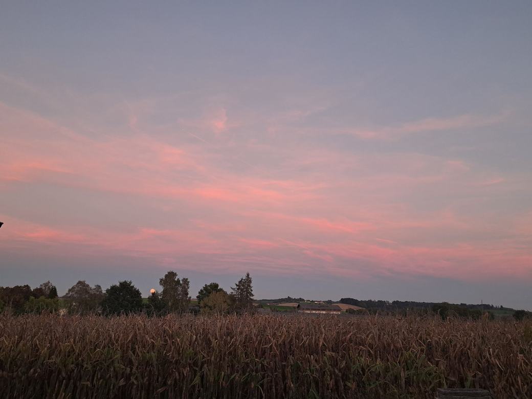 Rosa Abendhimmel über weiten Feldern