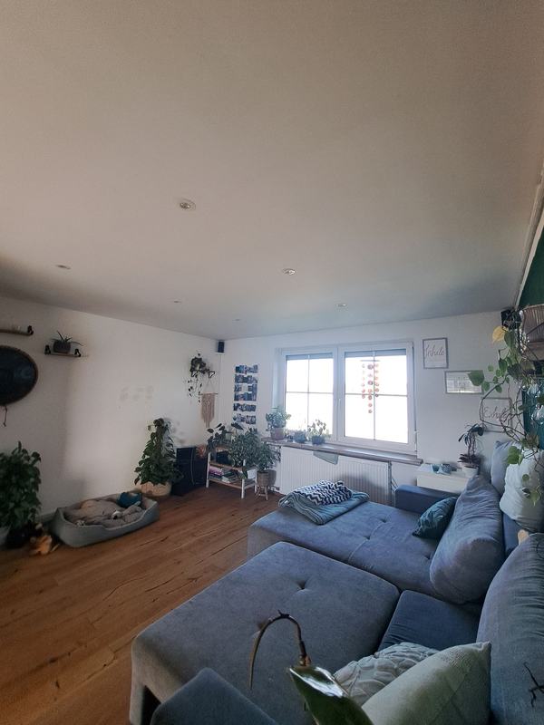 Wohnbereich mit Ecksofa und Fenster